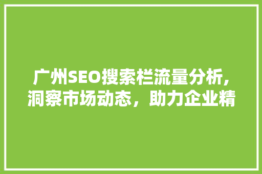 广州SEO搜索栏流量分析,洞察市场动态，助力企业精准营销 网站建设公司