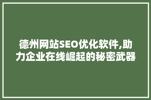 德州网站SEO优化软件,助力企业在线崛起的秘密武器 百度SEO