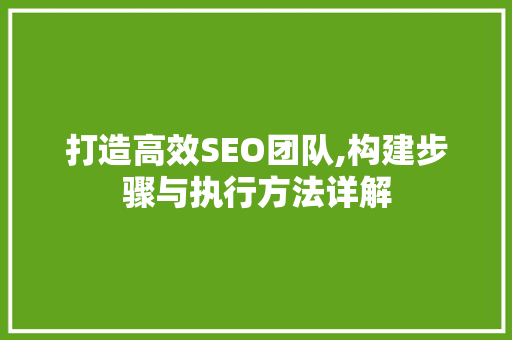 打造高效SEO团队,构建步骤与执行方法详解 搜狗SEO