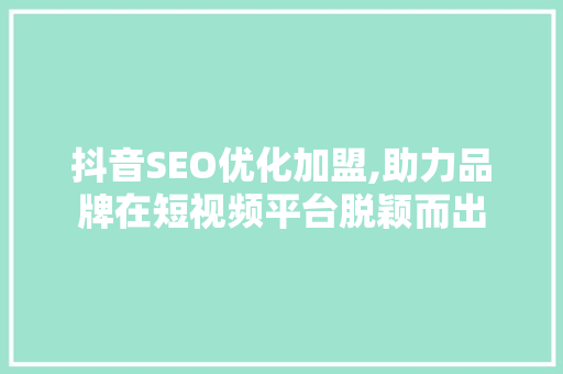 抖音SEO优化加盟,助力品牌在短视频平台脱颖而出 SEO关键词