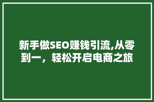 新手做SEO赚钱引流,从零到一，轻松开启电商之旅 搜狗SEO