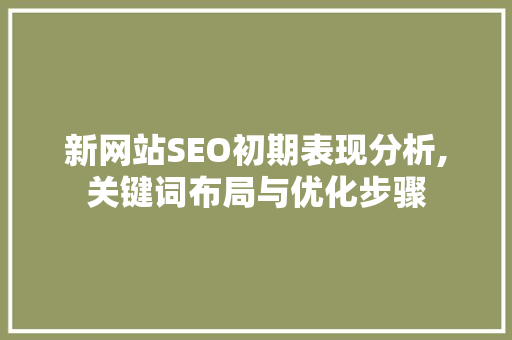 新网站SEO初期表现分析,关键词布局与优化步骤 必应SEO
