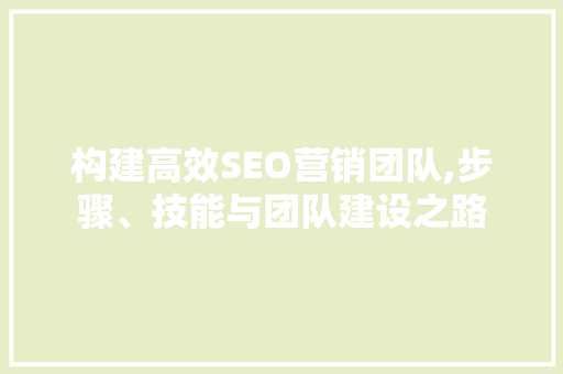构建高效SEO营销团队,步骤、技能与团队建设之路 SEO关键词