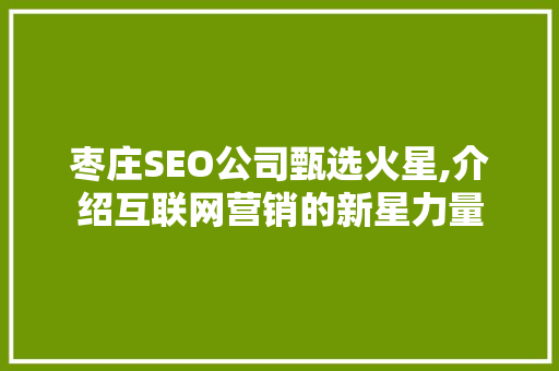 枣庄SEO公司甄选火星,介绍互联网营销的新星力量 SEO关键词