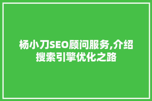 杨小刀SEO顾问服务,介绍搜索引擎优化之路