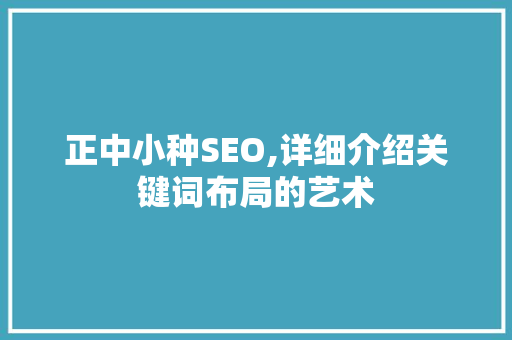 正中小种SEO,详细介绍关键词布局的艺术 SEO关键词