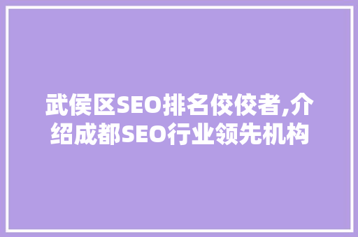 武侯区SEO排名佼佼者,介绍成都SEO行业领先机构 网站建设公司
