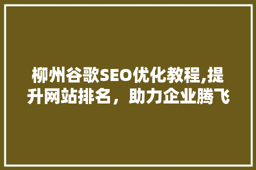 柳州谷歌SEO优化教程,提升网站排名，助力企业腾飞