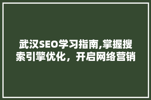 武汉SEO学习指南,掌握搜索引擎优化，开启网络营销新篇章