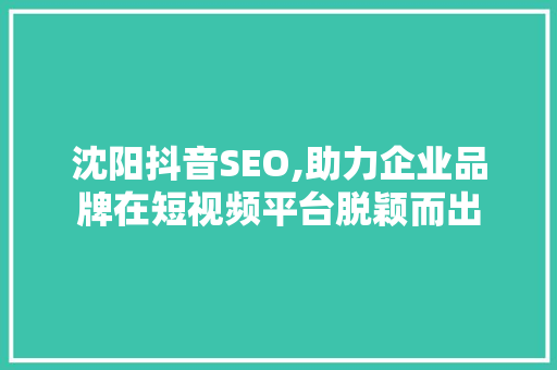 沈阳抖音SEO,助力企业品牌在短视频平台脱颖而出 网站建设公司