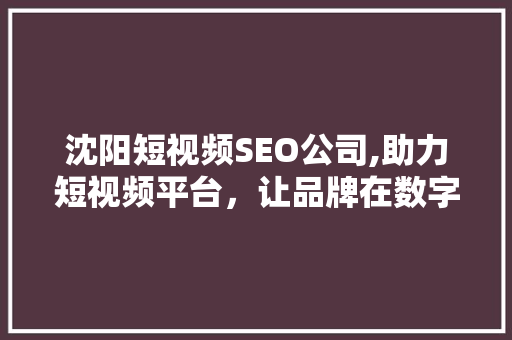沈阳短视频SEO公司,助力短视频平台，让品牌在数字浪潮中乘风破浪 网站建设公司