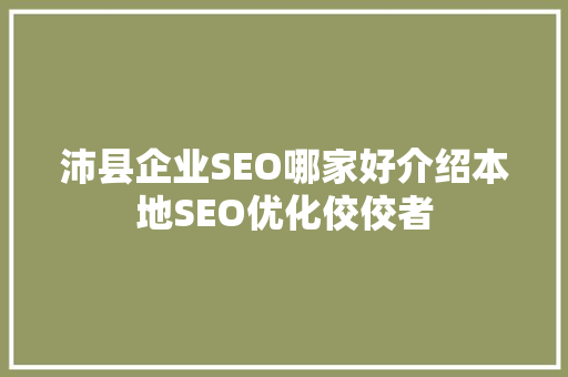 沛县企业SEO哪家好介绍本地SEO优化佼佼者