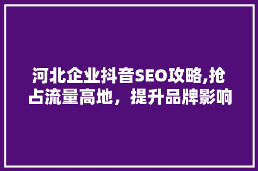 河北企业抖音SEO攻略,抢占流量高地，提升品牌影响力 百度SEO