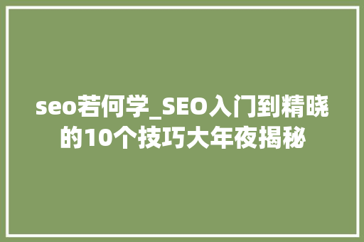 seo若何学_SEO入门到精晓的10个技巧大年夜揭秘 seo若何学_SEO入门到精晓的10个技巧大年夜揭秘 网站建设公司