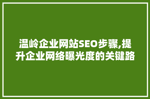 温岭企业网站SEO步骤,提升企业网络曝光度的关键路径 神马SEO