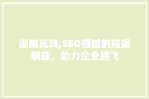湖南岚鸿,SEO领域的璀璨明珠，助力企业腾飞 必应SEO