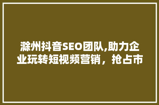 滁州抖音SEO团队,助力企业玩转短视频营销，抢占市场先机 网站建设公司