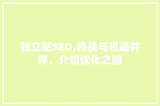 独立站SEO,挑战与机遇并存，介绍优化之路
