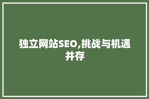 独立网站SEO,挑战与机遇并存 神马SEO