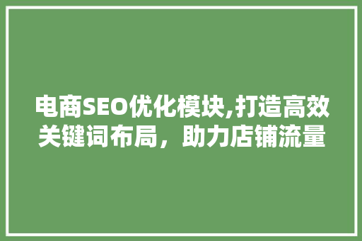 电商SEO优化模块,打造高效关键词布局，助力店铺流量提升 网站建设公司