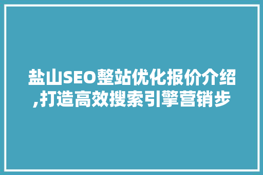 盐山SEO整站优化报价介绍,打造高效搜索引擎营销步骤 百度SEO