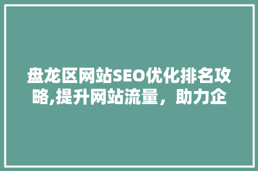 盘龙区网站SEO优化排名攻略,提升网站流量，助力企业腾飞 百度SEO