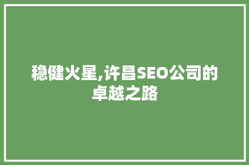 稳健火星,许昌SEO公司的卓越之路 百度SEO