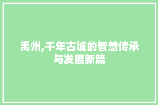 禹州,千年古城的智慧传承与发展新篇