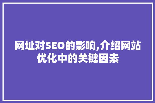 网址对SEO的影响,介绍网站优化中的关键因素