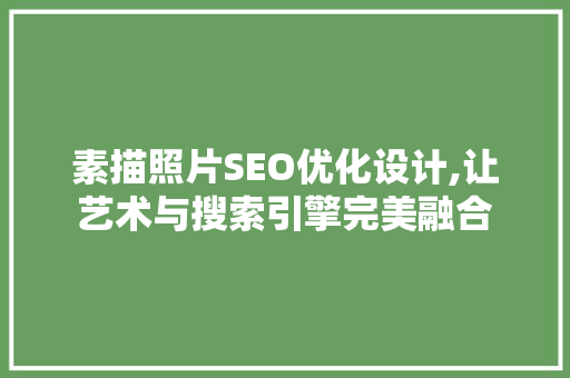 素描照片SEO优化设计,让艺术与搜索引擎完美融合