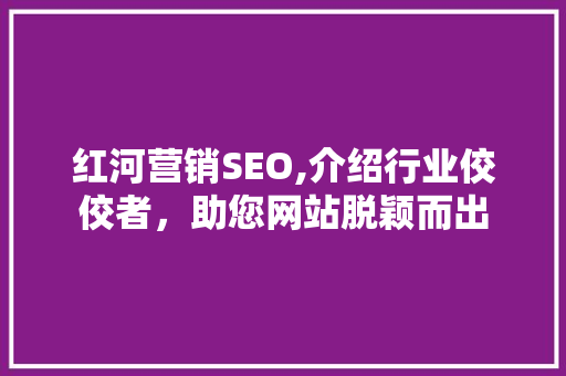 红河营销SEO,介绍行业佼佼者，助您网站脱颖而出 SEO关键词