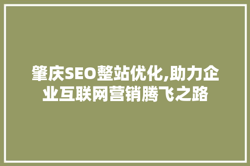 肇庆SEO整站优化,助力企业互联网营销腾飞之路 网站建设公司
