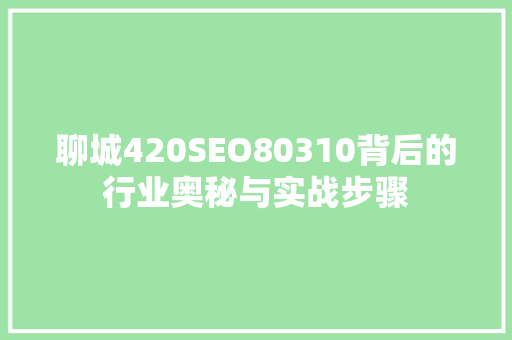 聊城420SEO80310背后的行业奥秘与实战步骤 SEO关键词
