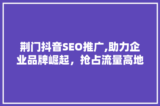 荆门抖音SEO推广,助力企业品牌崛起，抢占流量高地 搜狗SEO