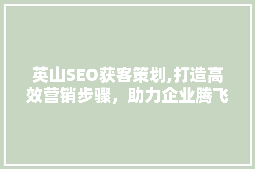 英山SEO获客策划,打造高效营销步骤，助力企业腾飞 网站建设公司