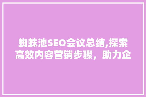 蜘蛛池SEO会议总结,探索高效内容营销步骤，助力企业腾飞 必应SEO