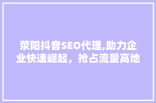 荥阳抖音SEO代理,助力企业快速崛起，抢占流量高地 网站建设公司