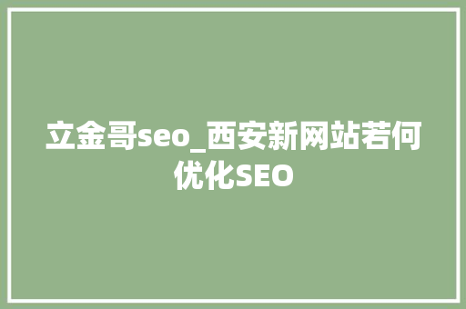 立金哥seo_西安新网站若何优化SEO 立金哥seo_西安新网站若何优化SEO 神马SEO
