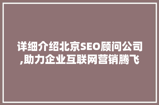 详细介绍北京SEO顾问公司,助力企业互联网营销腾飞 神马SEO