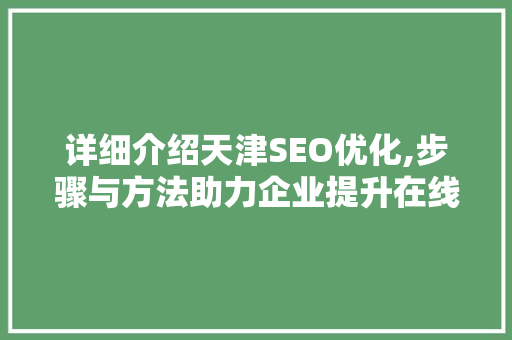 详细介绍天津SEO优化,步骤与方法助力企业提升在线竞争力 网站建设公司