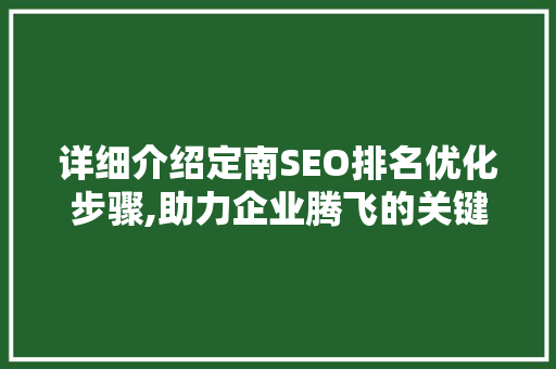 详细介绍定南SEO排名优化步骤,助力企业腾飞的关键路径 百度SEO