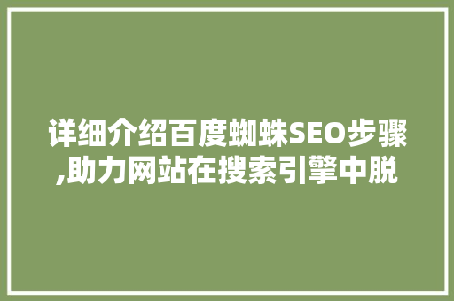 详细介绍百度蜘蛛SEO步骤,助力网站在搜索引擎中脱颖而出 SEO关键词