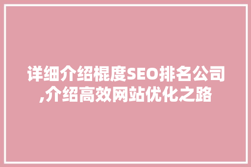 详细介绍棍度SEO排名公司,介绍高效网站优化之路 网站建设公司