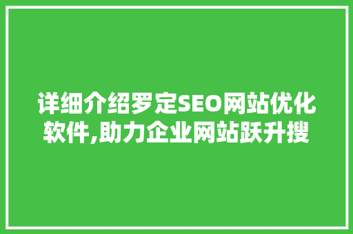 详细介绍罗定SEO网站优化软件,助力企业网站跃升搜索引擎首位 网站建设公司