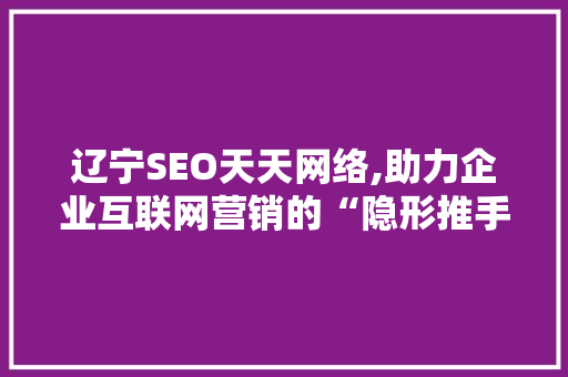 辽宁SEO天天网络,助力企业互联网营销的“隐形推手”