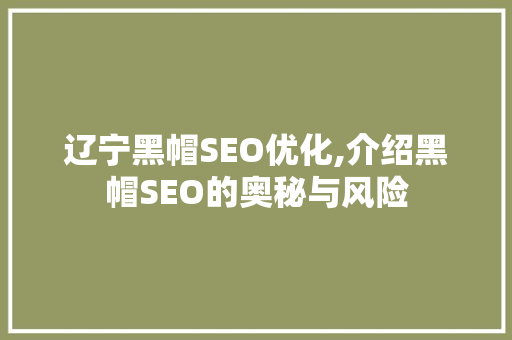 辽宁黑帽SEO优化,介绍黑帽SEO的奥秘与风险 网站建设公司