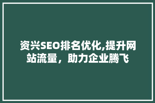 资兴SEO排名优化,提升网站流量，助力企业腾飞 网站建设公司