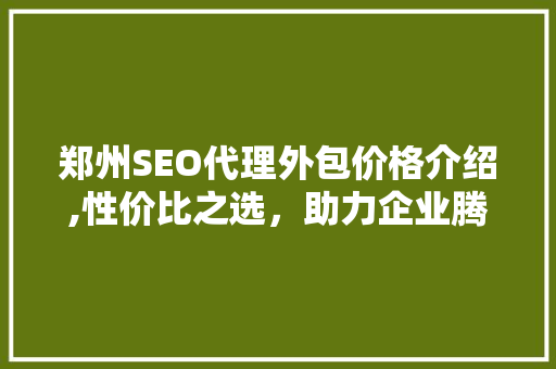 郑州SEO代理外包价格介绍,性价比之选，助力企业腾飞 神马SEO