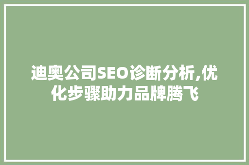 迪奥公司SEO诊断分析,优化步骤助力品牌腾飞 神马SEO