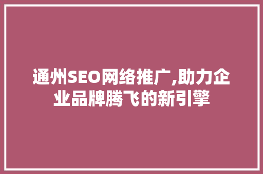 通州SEO网络推广,助力企业品牌腾飞的新引擎 网站建设公司